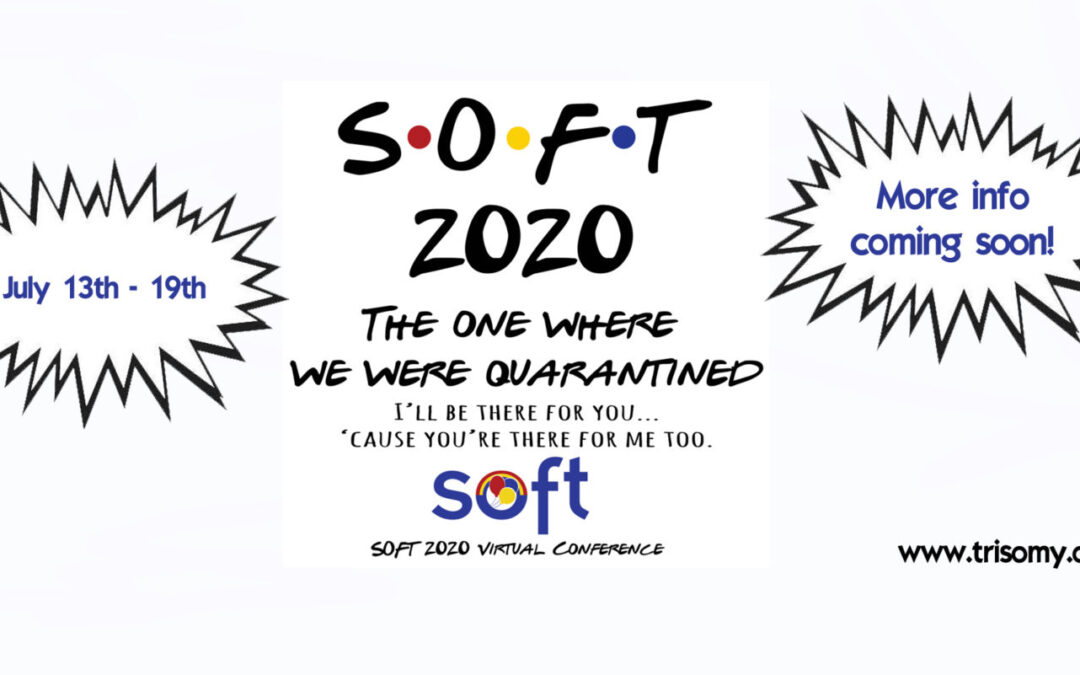 2020 SOFT Virtual Conference is coming in July