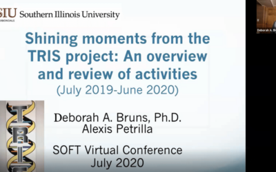 Video – Shining moments from the TRIS project