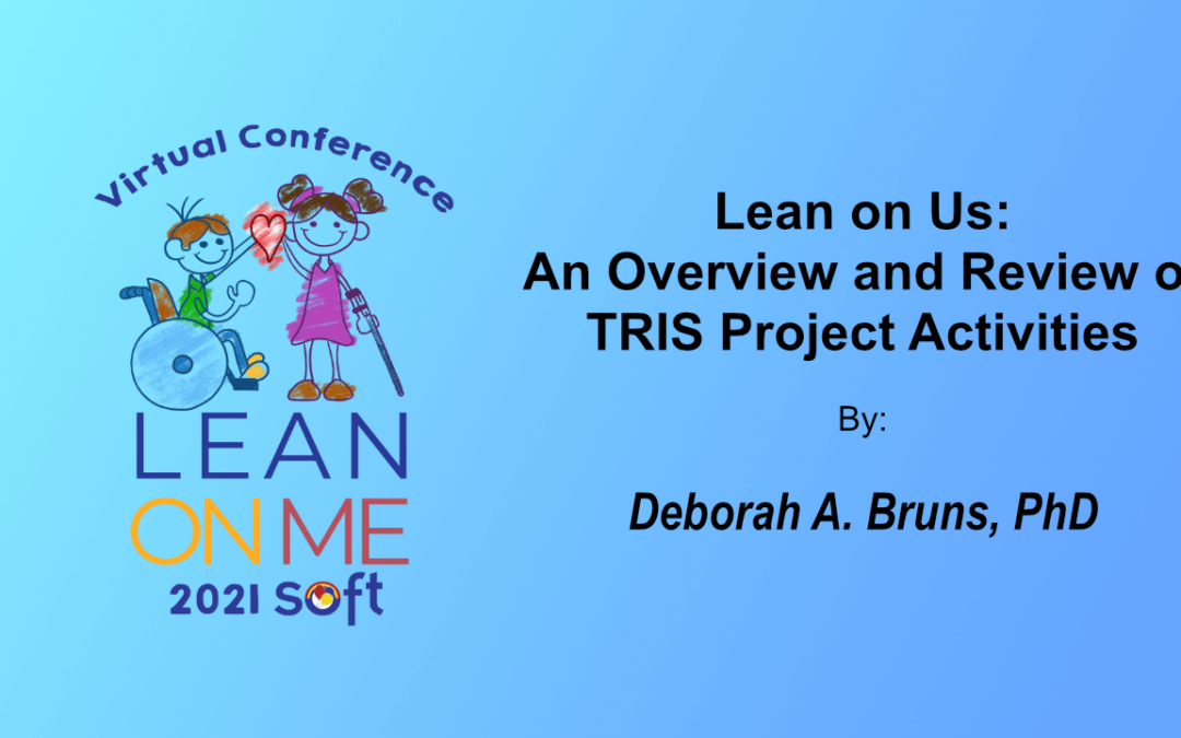 Lean on Us: An Overview and Review of TRIS Project Activities