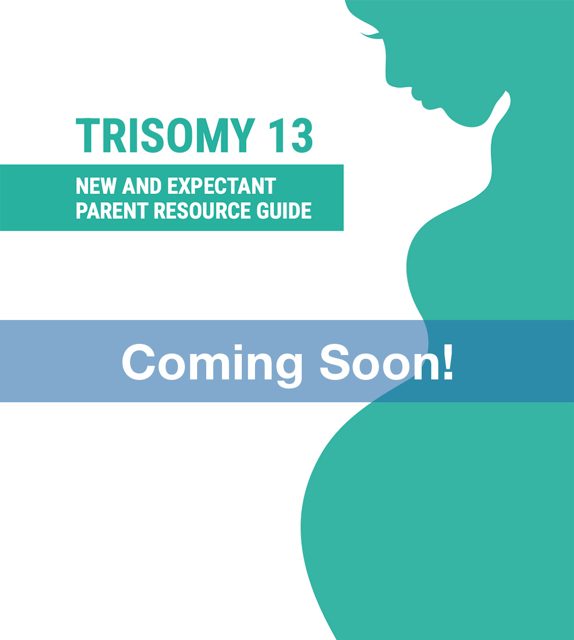 Trisomy 13 book cover