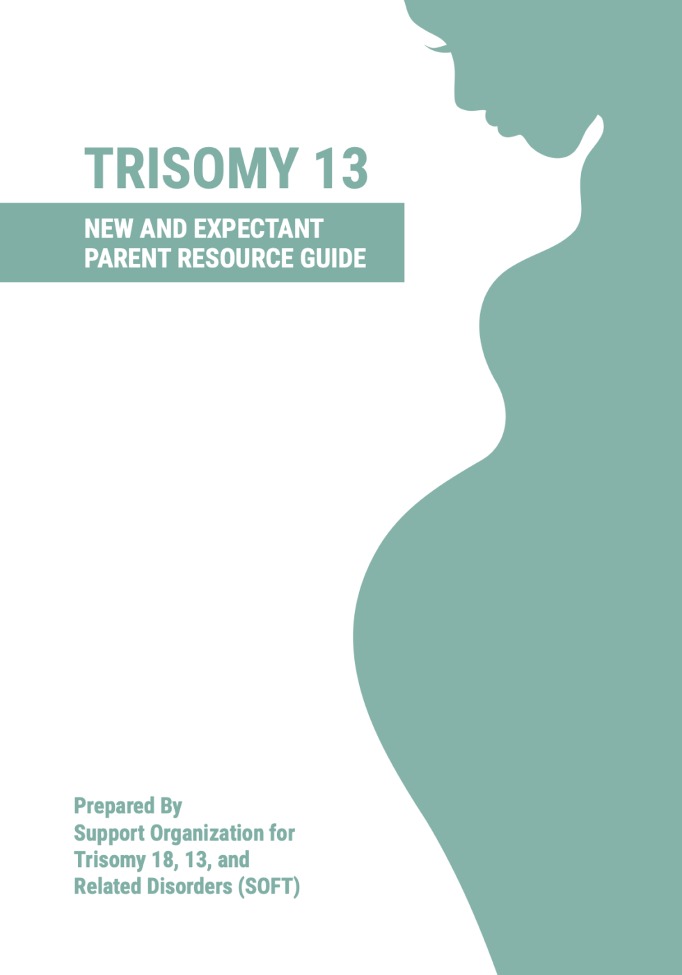 Trisomy 13 Patau syndrome New and Expectant Parent Book cover