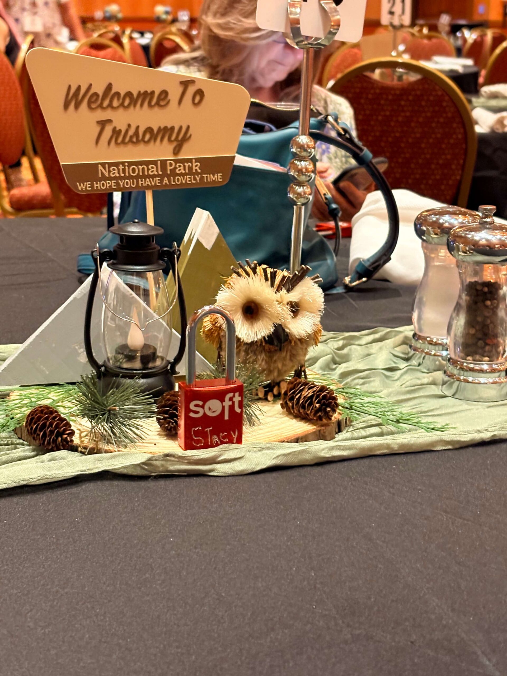 SOFT Conference 2026 Loveland